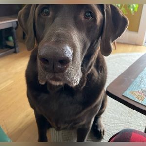 Meet your Posher, Christina